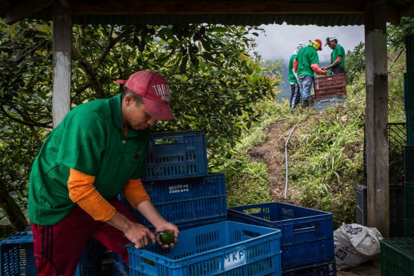 Gobierno colombiano desestima rebajar jornada laboral y califica iniciativa como populismo electoral