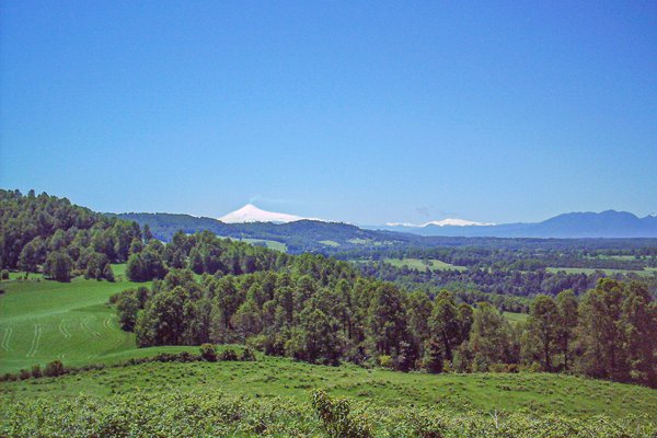 Se busca conservacionista: venden predio de 1.000 ha en Valdivia