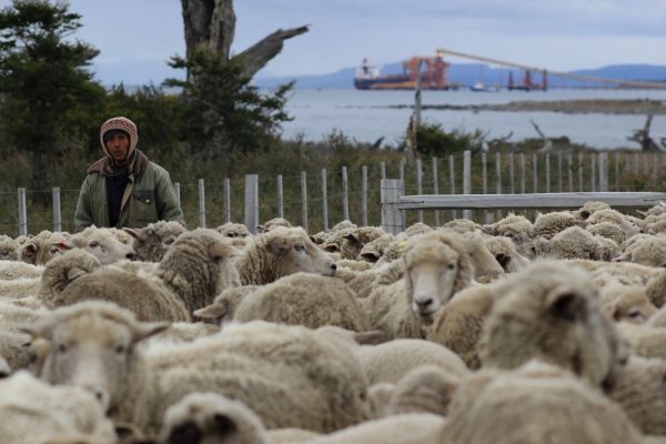 <p>Mina invierno se va a la Suprema: Tribunal Ambiental declara admisible recurso presentado por la empresa y el SEA</p>
