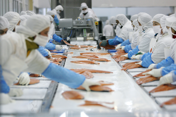 Agrosuper trabaja en “exigente plan de integración” en área salmonera