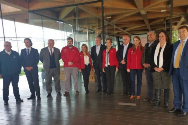 Wom, Movistar, Entel y Claro invertirán $ 13 mil millones en conectividad digital en la Araucanía