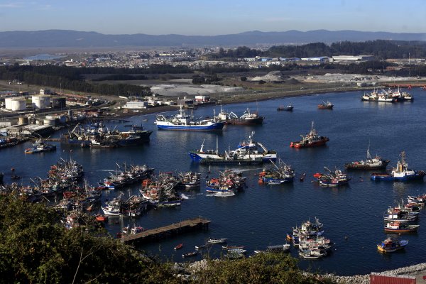 Proyecto que prohíbe pesca de arrastre de la merluza podría llegar al Tribunal Constitucional