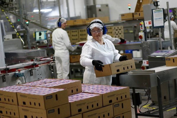 Economistas ponen en duda meta de creación de 600 mil empleos en administración de Piñera