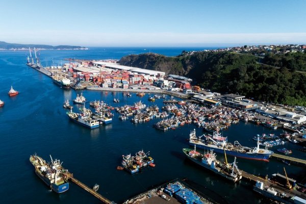 Fetrapes sobre los traspasos de cuotas: "Si no se eliminan, se seguirá incentivando la pesca ilegal"