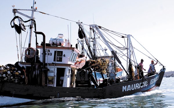 Subpesca denuncia aumento unilateral de cuota de captura de jurel por parte de Perú