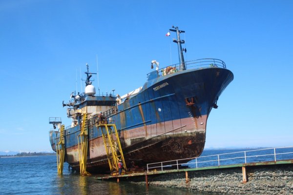 Alimar desvinculó a 400 trabajadores de Coronel y Valparaíso por nueva ley de la jibia
