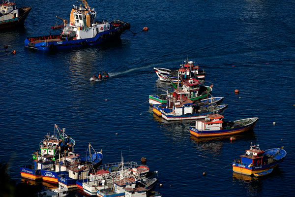 Escala denuncia de Chile a Perú por jurel: países miembros de ente internacional envían queja formal a comité