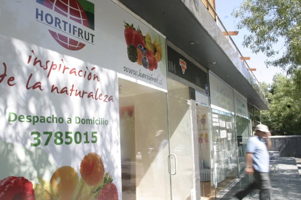 Hortifrut y Alifrut unen parte de sus negocios y crean la mayor exportadora de congelados del país