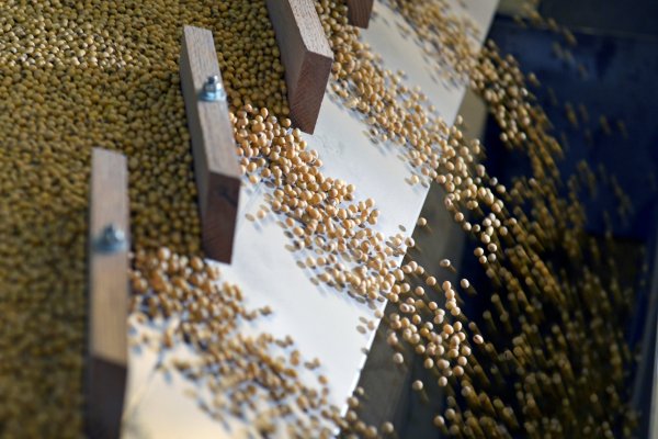 Beijing podría remover aranceles a la agroindustria de EEUU