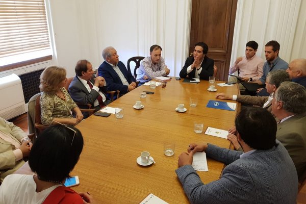 Representantes de Asech, Conapyme y Conupia, entre otros, arribaron a reunirse con el ministro Briones (Crédito: Ministerio de Hacienda).