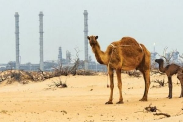 Aramco avanza en millonario IPO y comienza periodo de suscripción de acciones