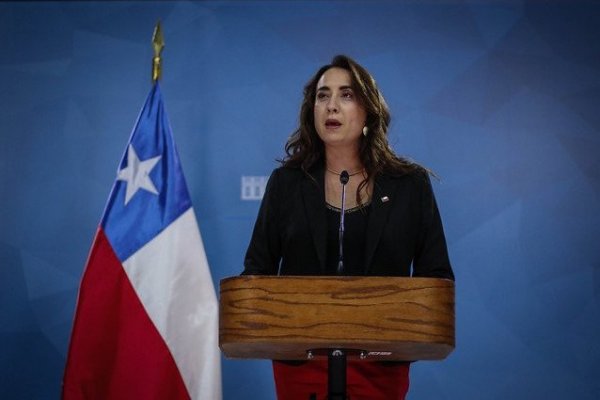 Gobierno pide informe en una semana a general Rozas con medidas y sanciones para evitar abusos policiales