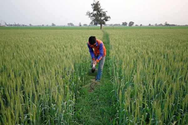 La economía india se desacelera y crece un 4,5% en el segundo trimestre
