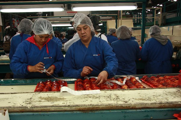 La fórmula del Ejecutivo para evitar más despidos: jornadas más breves y salarios con aportes del seguro de cesantía