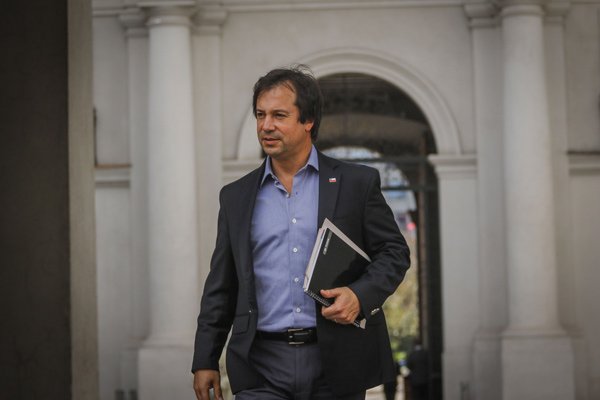 Lucas Palacios sobre colusión del salmón: “El impacto es mucho mayor”