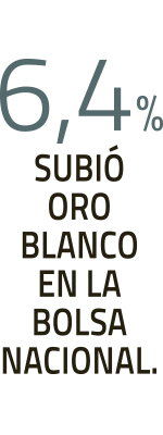 Imagen foto_00000005