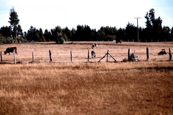 Cómo afrontan los partidos políticos la agenda climática marcada por la sequía