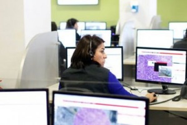 Chile lidera investigación junto a la OCDE para disminuir brecha digital de género