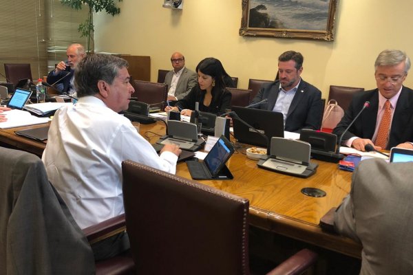 Comisión de Hacienda despacha ingreso mínimo y queda listo para su discusión en el Senado