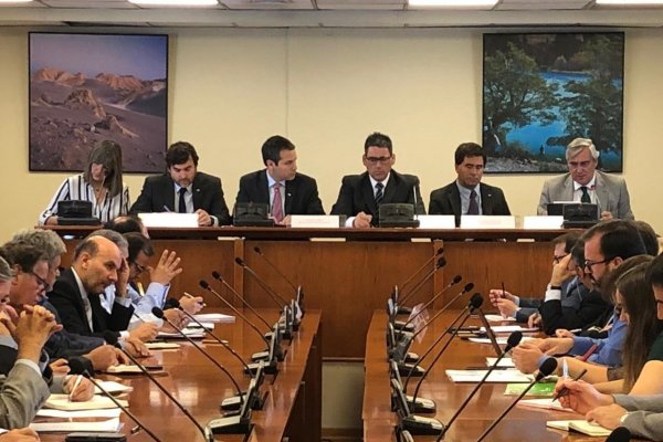 Asoex estima pérdida de US$ 100 millones en exportaciones de fruta si continúan efectos de Covid 19