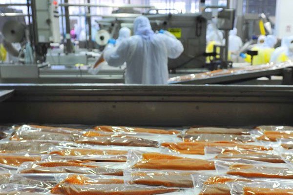 Rusia bloquea salmón chileno: directora del Sernapesca se reunirá con autoridades de ese país