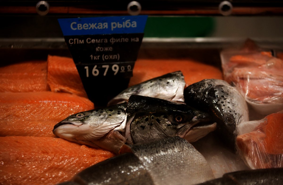 <p>Salmoneras rusas viven auge histórico en medio de restricciones a importaciones chilenas</p>