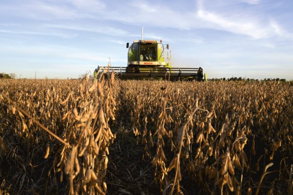 Gobierno de Argentina se enfrenta al agro y sube el impuesto a las exportaciones de soya