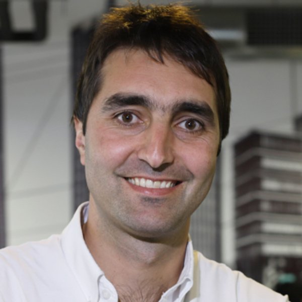 Ley Cenabast: implicancias para el comercio electrónico