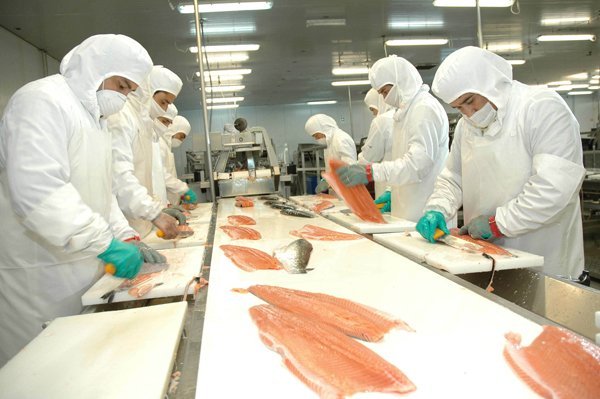 Rusia levanta restricción de exportación a cuatro salmoneras chilenas tras reunión con Sernapesca