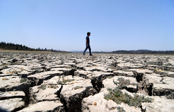 La próxima Cumbre de Cambio Climático (COP26) se realizará entre el 9 y 19 de noviembre en Glasgow, Escocia. Foto: Agencia Uno