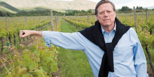 <p>Presidente Vinos de Chile: "Marzo se ve complicado, porque está bastante paralizado el comercio"</p>