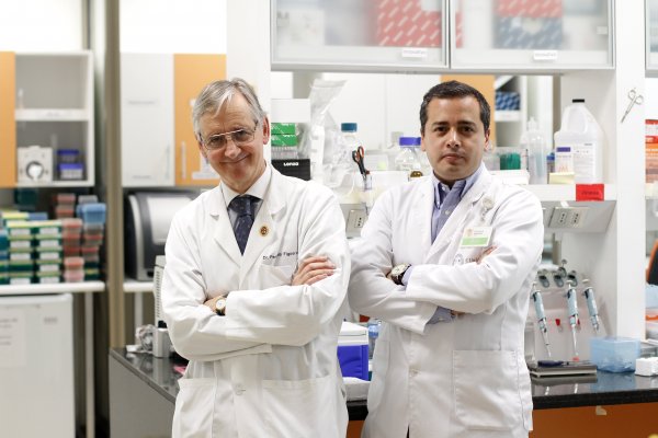 Fernando Figueroa y y Francisco Espinoza, investigadores a cargo del estudio clínico.
