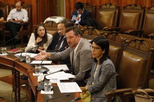 Luego de la comisión mixta, a la que asistió la subsecretaria de Desarrollo Social, Alejandra Candia, ahora el proyecto lo verán las salas de la Cámara y el Senado.