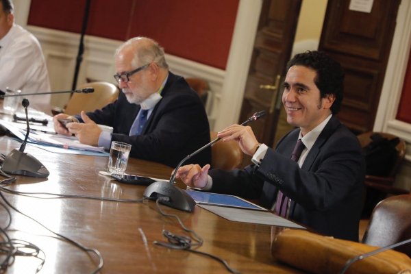 Briones hace "urgente" llamado a que Congreso apruebe la próxima semana paquete de medidas económicas de emergencia
