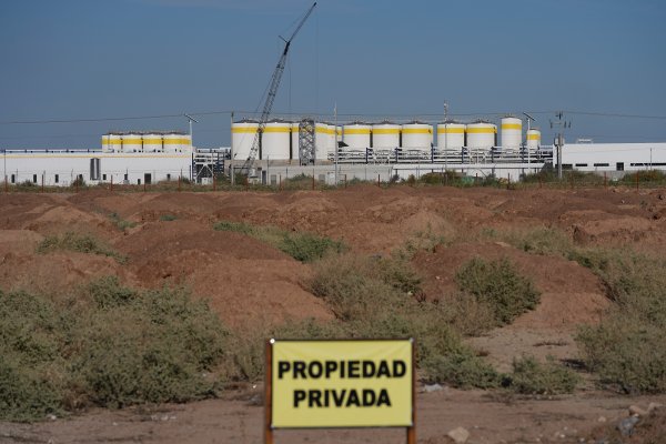 Constellation Brands optó por conciliación tras rechazo a planta en consulta pública, dice López Obrador
