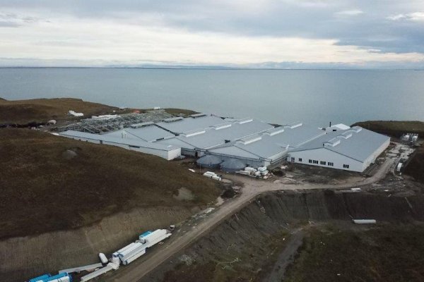 <p>La salmonera que opera en Magallanes será dirigida por Nicolás Larcos.</p>