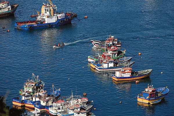 Informe de Subpesca muestra mejora en estado de recursos pesqueros industriales