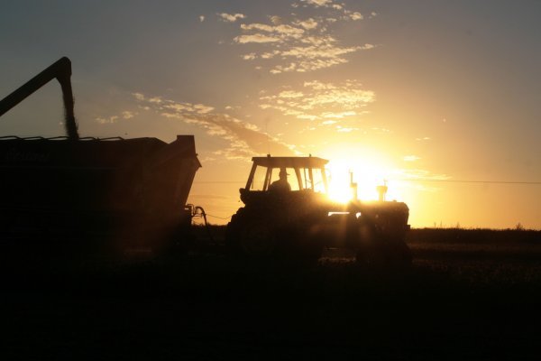 <p>Agricultura proyecta una caída de 2% para el sector este año y de 5,6% en sus exportaciones</p>