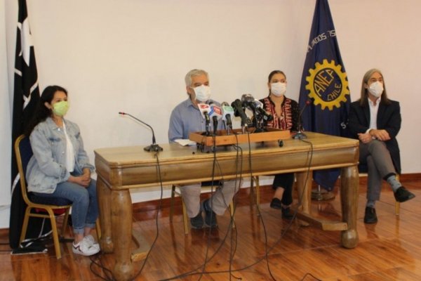 ANEF realiza llamado a no retornar al trabajo presencial y anuncia que interpondrá recurso de protección