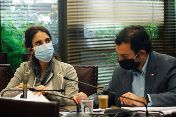María José Zaldívar y el subsecretario Fernando Arab ayer en la comisión mixta. Foto: Agencia Uno
