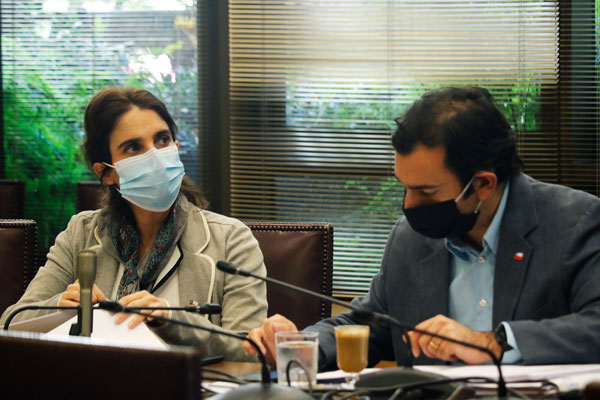 <p>María José Zaldívar y el subsecretario Fernando Arab ayer en la comisión mixta. Foto: Agencia Uno </p>