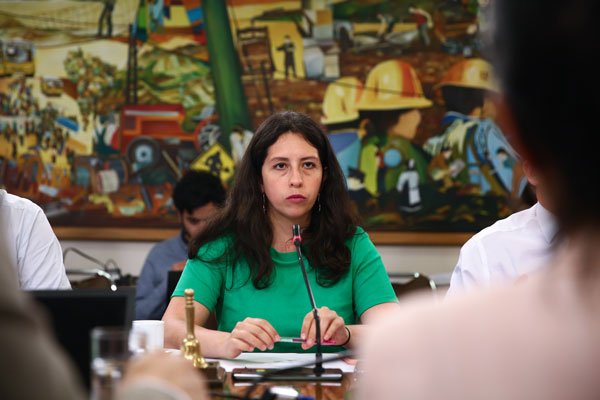 Gael Yeomans y cambios a Ley de Empleo: “No es adecuado que en la crisis sanitaria las grandes empresas no paguen costos”