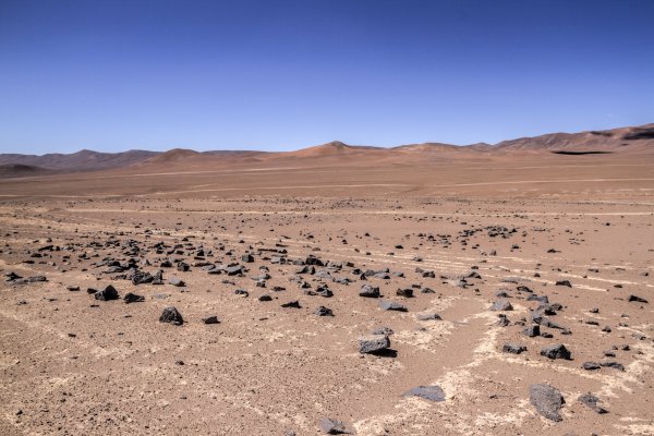 Colbún ingresó a fines de enero a evaluación ambiental el proyecto eólico Horizonte.