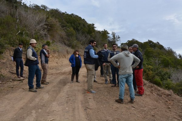 Tribunal Ambiental