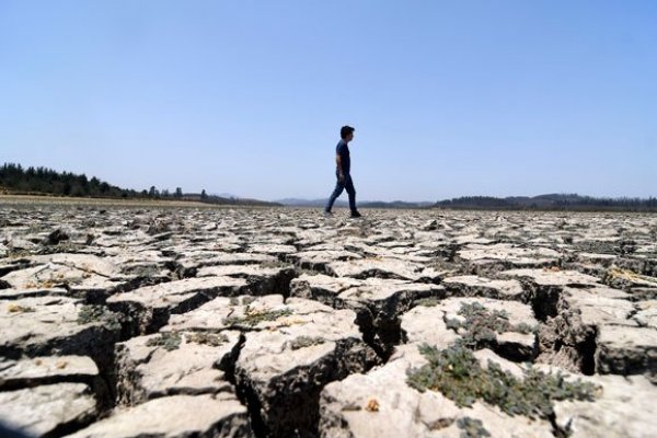 <p>Foto: Agencia Uno </p>