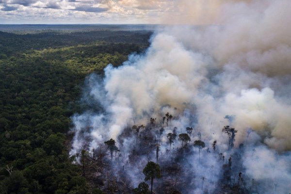 Bloomberg: La Amazonía sigue en llamas, pero ya nadie presta atención