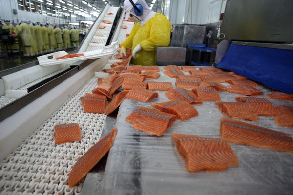 <p>Foto: Bloomberg</p>