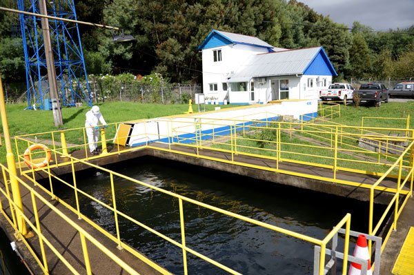 El proceso de caducidad se inició tras el corte de agua que afectó a Osorno. Foto: Agencia Uno