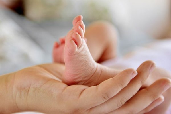 Posnatal: las cifras tras la fórmula de Trabajo para dar mayor cobertura