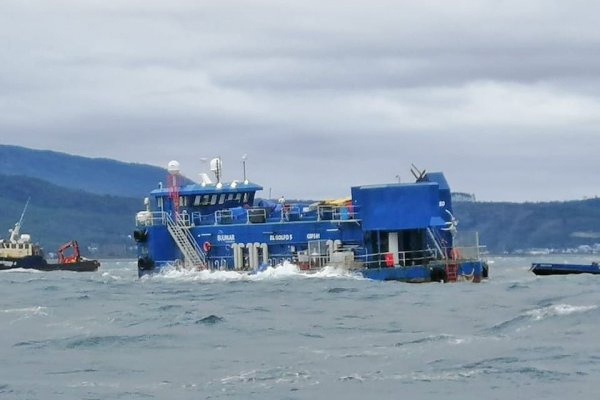 Superintendencia de Medio Ambiente ordena medidas urgentes tras escape de peces de Blumar